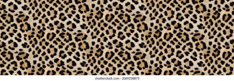 Leopard Skin Texture Pattern print