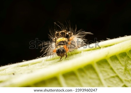 Similar – Begegnung Natur Frühling