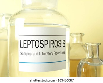 Leptospirosis Research