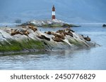 Les Eclaireurs lighthouse and Sea Lions in the Beagle Channel, Argentina.