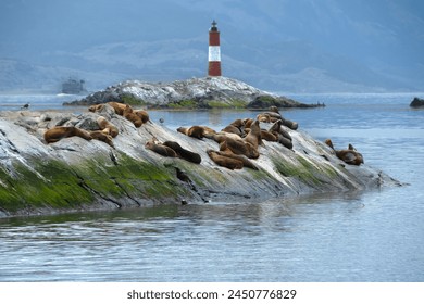 Faro Les Eclaireurs y