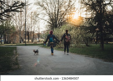 Lesbian Couple Walking A Adorable Little Dog Yorkshire Terrier In The City Park