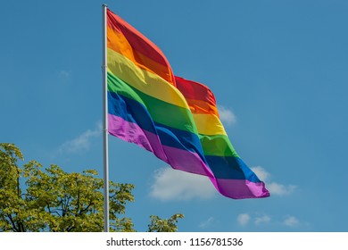 Lesbian and gay movement Rainbow flag - Powered by Shutterstock