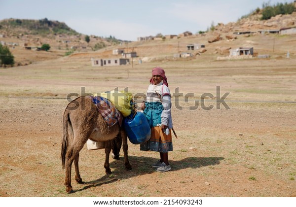 Lesotho, 2017.10.27
-Lesotho, one of the poorest countries in Africa, donkeys are still
used to transport people and goods. This Sotho woman is underway to
fetch water.