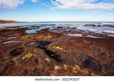 Monfort Images, Stock Photos & Vectors | Shutterstock