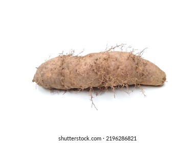 Lesser Yam (Dioscorea Esculenta) Isolated On White Background, Single Object, Selective Focus