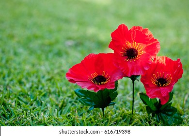 Lest We Forget - Anzac - Rememberance - Poppies On Grass Background