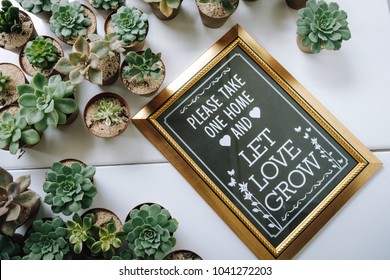 Let Love Grow Sign - Shutterstock ID 1041272203