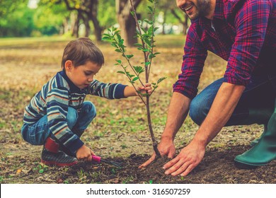 Let me help you! Little boy helping his father to plant the tree while working together in the garden - Powered by Shutterstock
