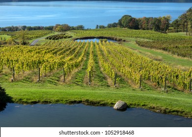 Let The Vineyards Be Fruitful.  Destination Seneca Lake Wine Trail In The Finger Lakes Of New York 
