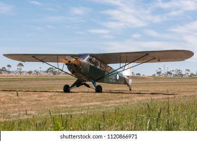 Lethbridge, Australia - November 23, 2014: Piper J-3C-65 Cub (Piper L-4 Grasshopper) Single Engine Light Aircraft In The Markings Of No.4 Squadron Royal Australian Air Force (RAAF).