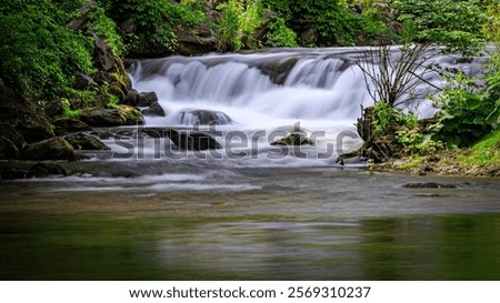 Letort Spring Run falls as it flows toward the mouth of the