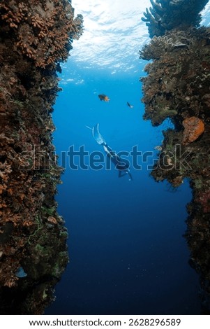 Lets dive deeper and darker 