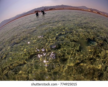 Let's go dive