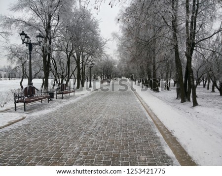 lets walk in frosty park