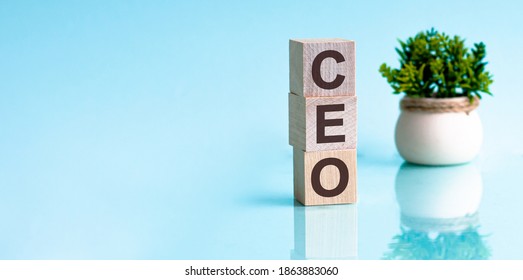 Letter Of The Alphabet Of CEO On A Light Blu Background. The Written Text Is Mirrored From The Glossy Surface. In The Background Is A Flower In A Pot. CEO - Chief Executive Officer