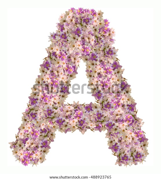 Letter Alphabet Flower Abc Concept Type Stock Photo (Edit Now) 488923765