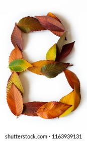 76,990 Autumn Font Images, Stock Photos & Vectors | Shutterstock