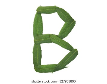 Letter B Composed Leaves Stock Photo 327903800 | Shutterstock