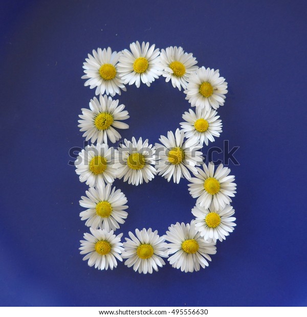 Letter B Flower Alphabet Stock Photo 495556630 | Shutterstock