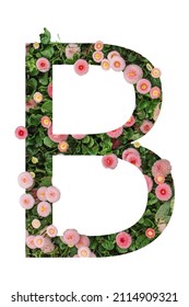 2,607 Letter b nature Stock Photos, Images & Photography | Shutterstock