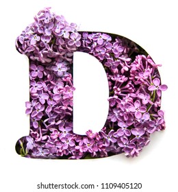 Letter D English Alphabet Beautiful Bright Stock Photo 1109405120 ...