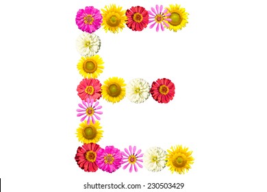 174 Letter E Of The Alphabet In Sunflower Design Images, Stock Photos ...