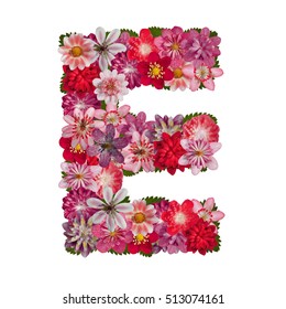 Letter E Red Flowers Alphabet Stock Photo 513074161 | Shutterstock