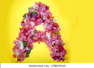 Letter A Flower Alphabet, Made From Colorful Bougainvillea Flowers, Wonderful Flora Letters For Unique Spring Decorations And Various Creation Ideas, Greeting Card Design Over On Yellow Background.