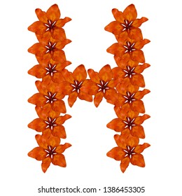 Letter H Made Orange Flowers Alphabet Stock Photo 1386453305 | Shutterstock