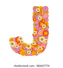 Letter J Alphabet With Straw Flower Isolated On White Background