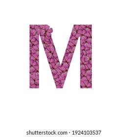 Letter M of the alphabet with photography of pink flowers. Letter M made from flowers isolated on white Photo. Alphabet symbols with flowers texture pattern