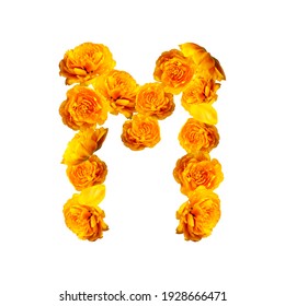 Letter M of English alphabet made from yellow tulips. Alphabet from flowers isolated on white background, yellow fresh tulips. Letters from natural materials, spring, bloom, floral composition, layout