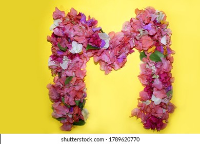 letter M flower alphabet, made from colorful bougainvillea flowers, wonderful flora letters for unique spring decorations and various creation ideas, greeting card design over on yellow background.