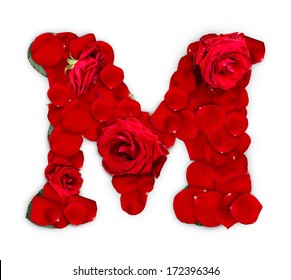 Letter M made from red roses and petals isolated on a white background 