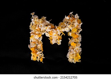 The letter M made of tiny flowers on a black background
