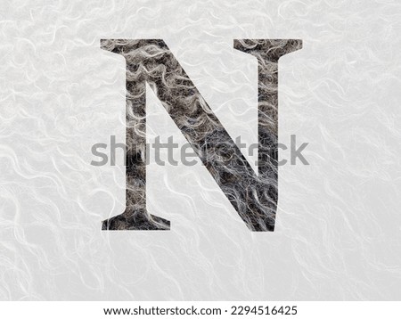 Letter N of the alphabet made with curly hear of the wool of a sheep, with colors brown, white and beige