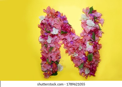 Letter N Flower Alphabet, Made From Colorful Bougainvillea Flowers, Wonderful Flora Letters For Unique Spring Decorations And Various Creation Ideas, Greeting Card Design Over On Yellow Background.