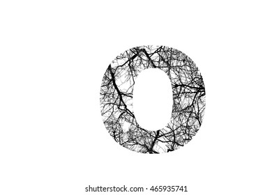 Letter O Cracklike Branches Black White Stock Photo 465935741 ...