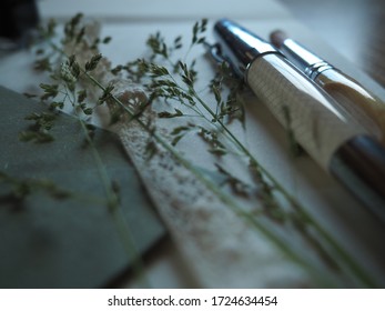 Letter Post Ivory Grad Fern Oat Fountain Pen Ink Tulip White Green Calligraphy Lettering Envelop