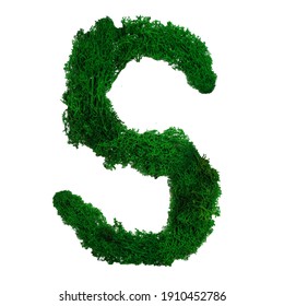 Letter S of the English alphabet made from green stabilized moss, isolated on white background.