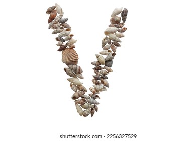 Letter V, summer concept idea. Letter V made with sea shell isolated on white background.