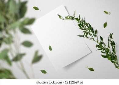 Letterhead Blank Mockup And Stationery Set, With Floral Elements, Top View, On White Background.