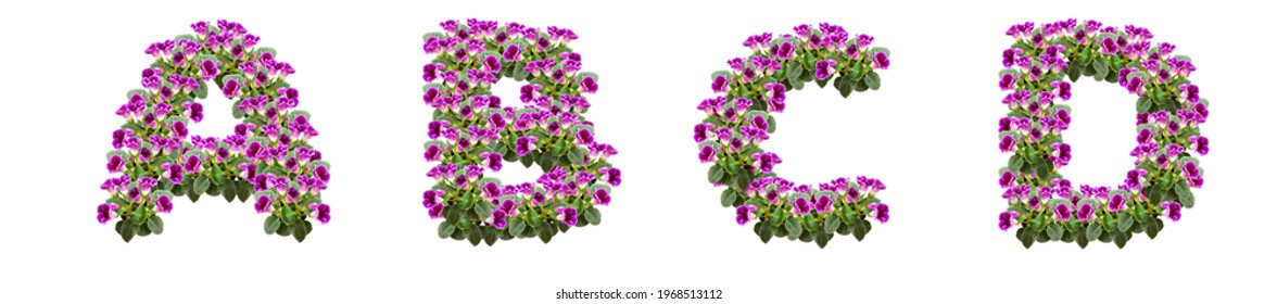 The letters A, B, C, D are made of purple flowers and leaves