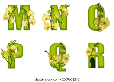 Letters M N O P Q R of bright color with yellow flowers of Phalaenopsis orchids . Floral letters isolated on white background.