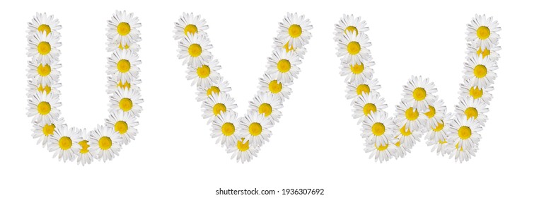 Letter V Made Of Flowers High Res Stock Images Shutterstock