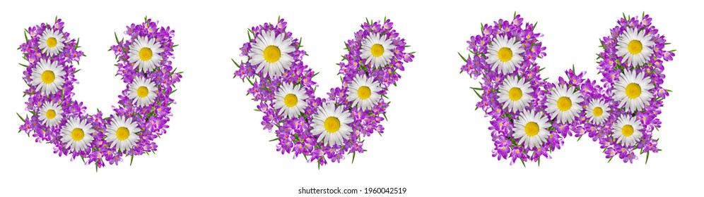 Letter V Made Of Flowers High Res Stock Images Shutterstock