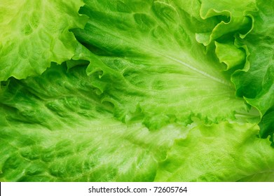 Salad Texture Images Stock Photos Vectors Shutterstock