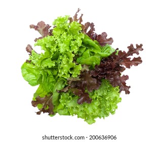 Lettuce Different Varieties Isolated On White Background. Horizontal Photo - Top View.