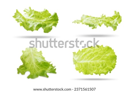 Lettuce leaf on a white isolated background. toning